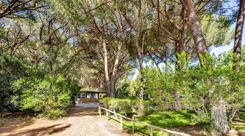 Camping Maremma Sans Souci Castiglione della Pescaia Exterior foto